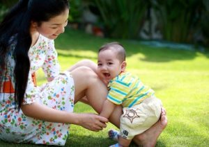 mua quà tặng trung thu 2017