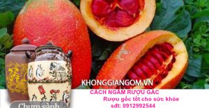 cách ngâm rượu gấc bảo vệ sức khỏe