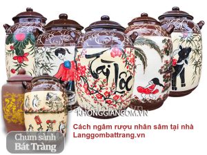 Cách ngâm rượu nhân sâm tươi tại nhà