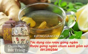 Tác dụng của rượu ngâm gừng