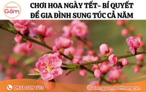 Chơi hoa dịp Tết để gia đình sung túc cả năm